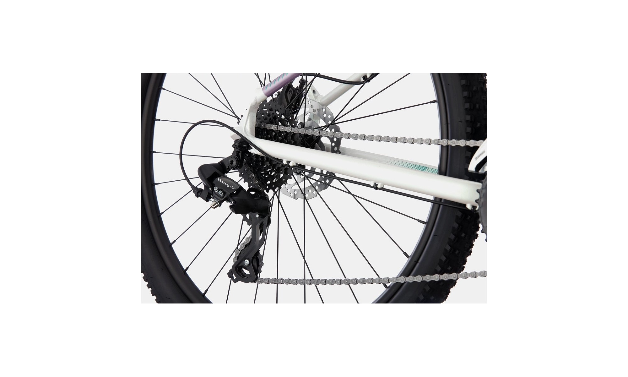 Polkupyörä Cannondale Trail 29" 7 Womens iridescent - 4