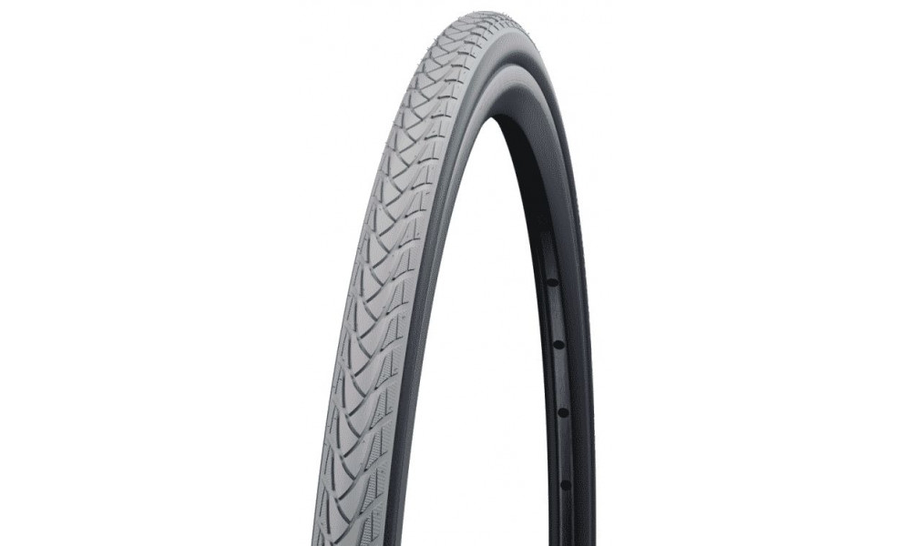 Rengas 22" Schwalbe Marathon Plus HS440, Evo 25-489 / 22x1.00 Reflex 