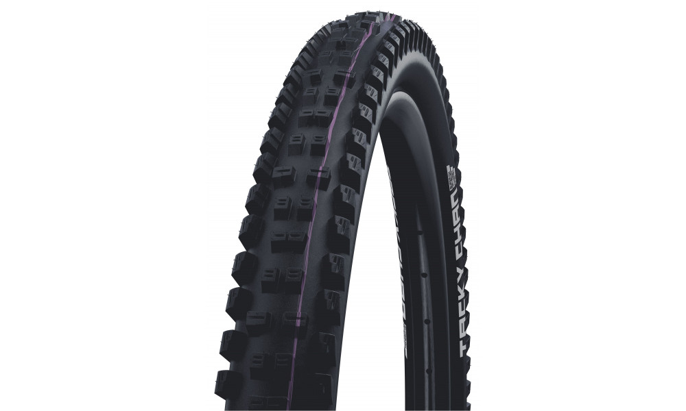 Rengas 29" Schwalbe Tacky Chan HS625, Evo Fold. TLE 62-622 / 29x2.40 Super Downhill - 1