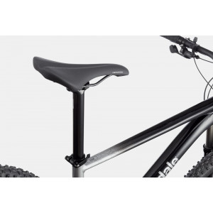 Polkupyörä Cannondale Trail 29" SL 4 charcoal gray