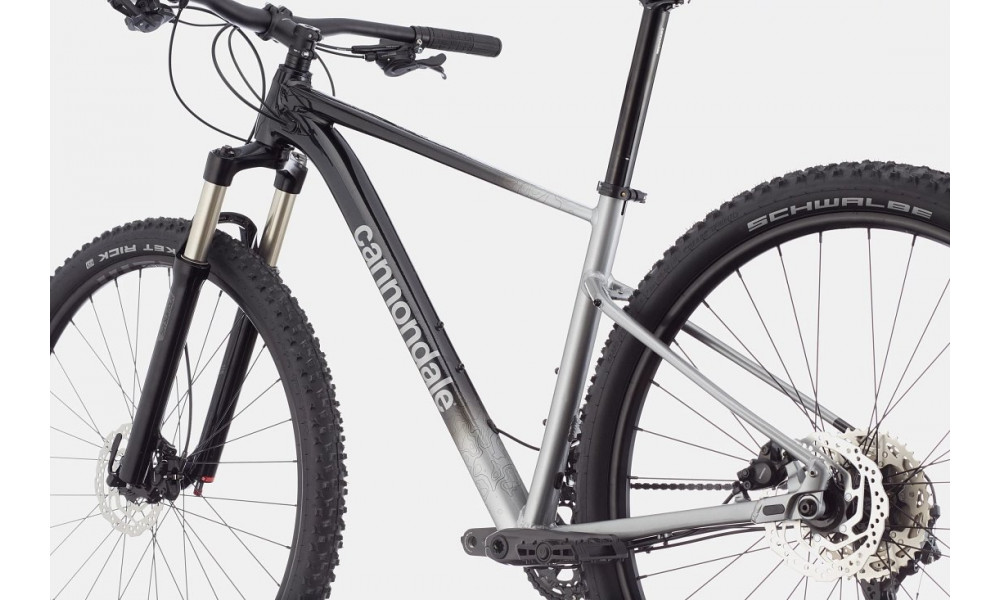 Polkupyörä Cannondale Trail 29" SL 4 charcoal gray - 3