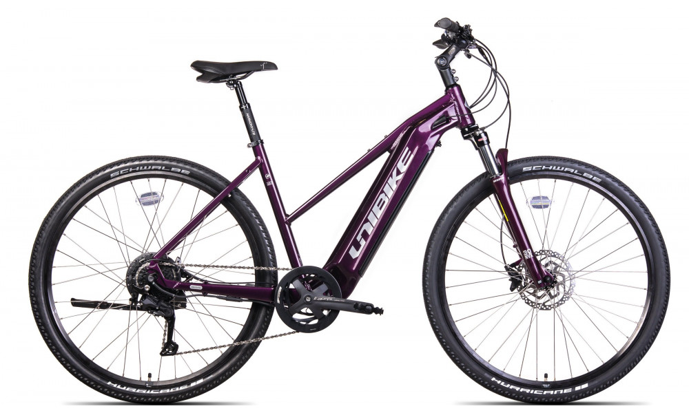 Sähköpyörä Unibike Falcon LDS 2024 burgund 