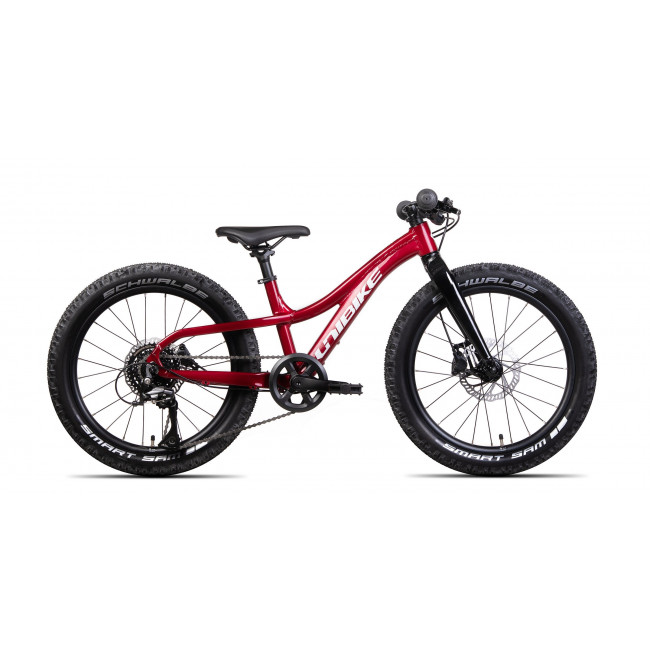 Polkupyörä Unibike Dart 20 2024 red