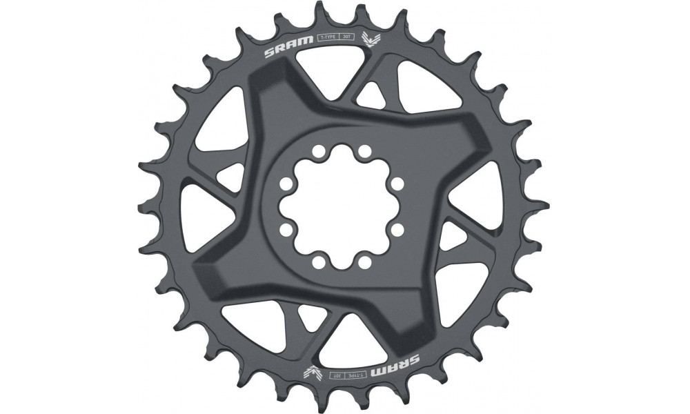 Eturatas SRAM GX Eagle T-Type D1 Direct Mount 3mm offset 30T grey 