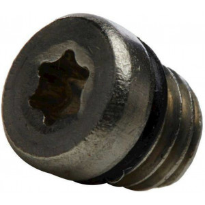 Levyjarrukahvan korjaussarja Avid reservoir bleed screw stainless steel (20 kpl.)