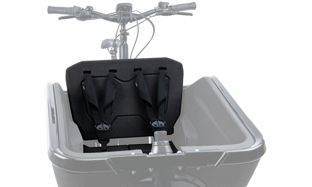 Lastenistuin Cube for e-bike Cargo black - 1