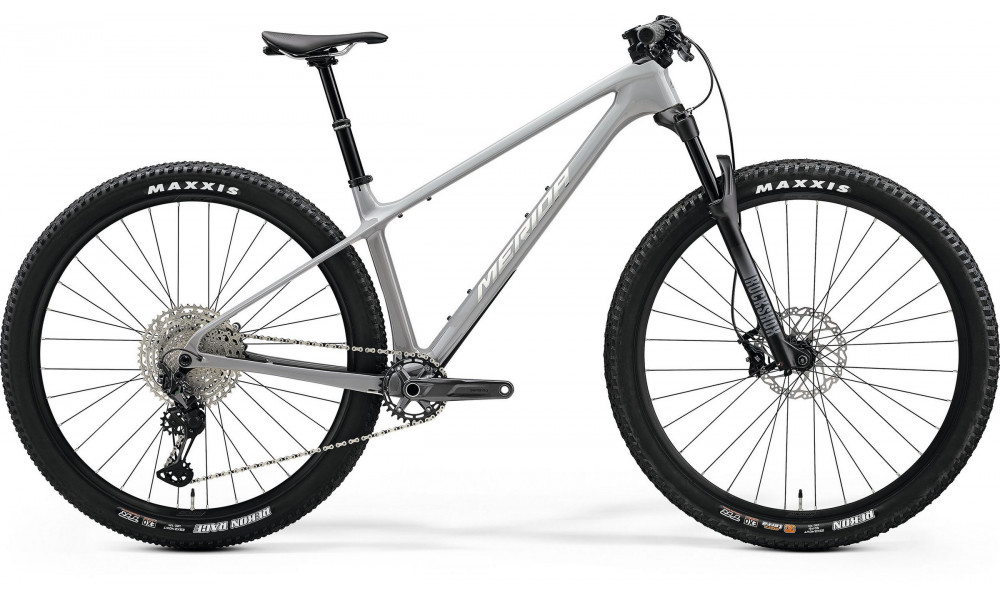 Dviratis Merida Big.Nine TR 5000 III1 cool grey(silver/black) 