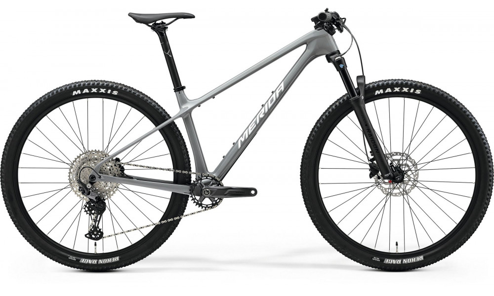 Dviratis Merida Big.Nine 3000 III1 cool grey(silver/black) 