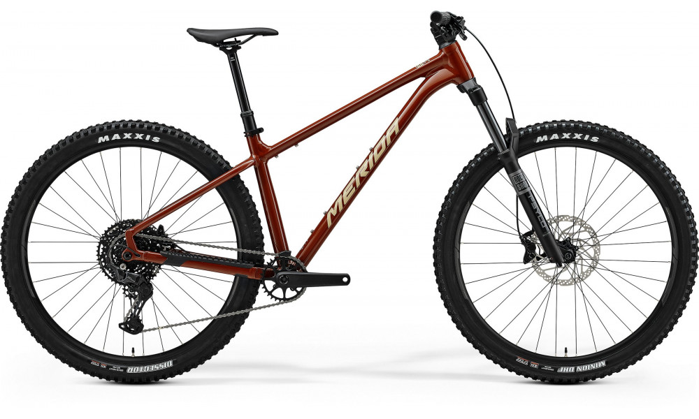 Dviratis Merida Big.Trail 500 II1 mokka(brown) 