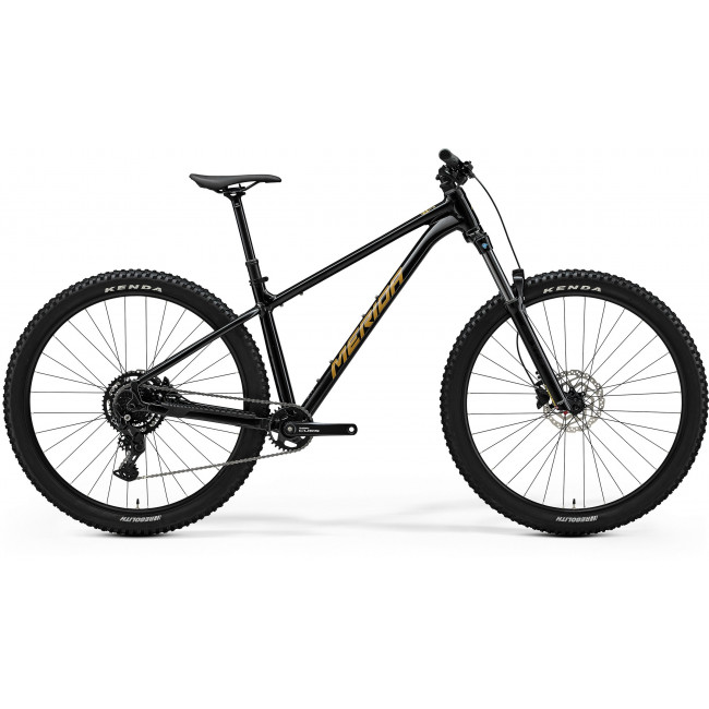 Dviratis Merida Big.Trail 300 II1 black(brown)