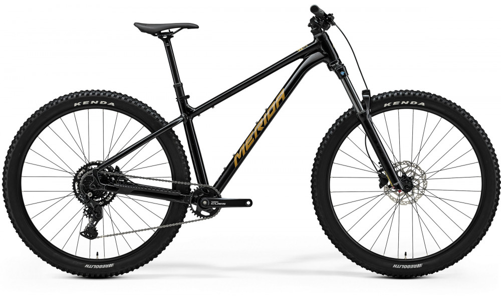 Dviratis Merida Big.Trail 300 II1 black(brown) 