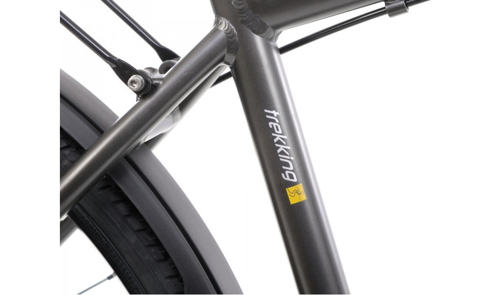 Polkupyörä Romet Wagant 2 28" 2022 graphite-gold - 17