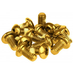 Jarrulevyn pultit Prox gold M5x10mm (12pcs.)