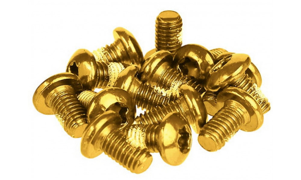 Jarrulevyn pultit Prox gold M5x10mm (12pcs.) - 1