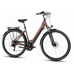 Sähköpyörä ProEco Wave AN 1.0 R 504Wh brown-black