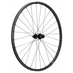 Takapyörä NEWMEN Advanced Carbon SL X.R.25 29" 28H Gravel SP C-Lock 12x142 HG