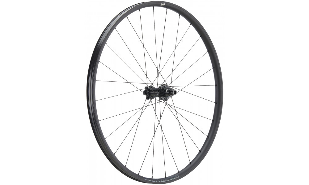 Takapyörä NEWMEN Beskar Alu 30 light 29" 28H SP 6-bolt 12x148 HG 