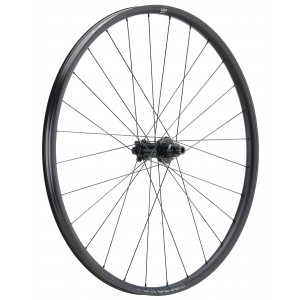 Takapyörä NEWMEN Forge Alu 30 base 29" 28H SP 6-bolt 12x148 HG