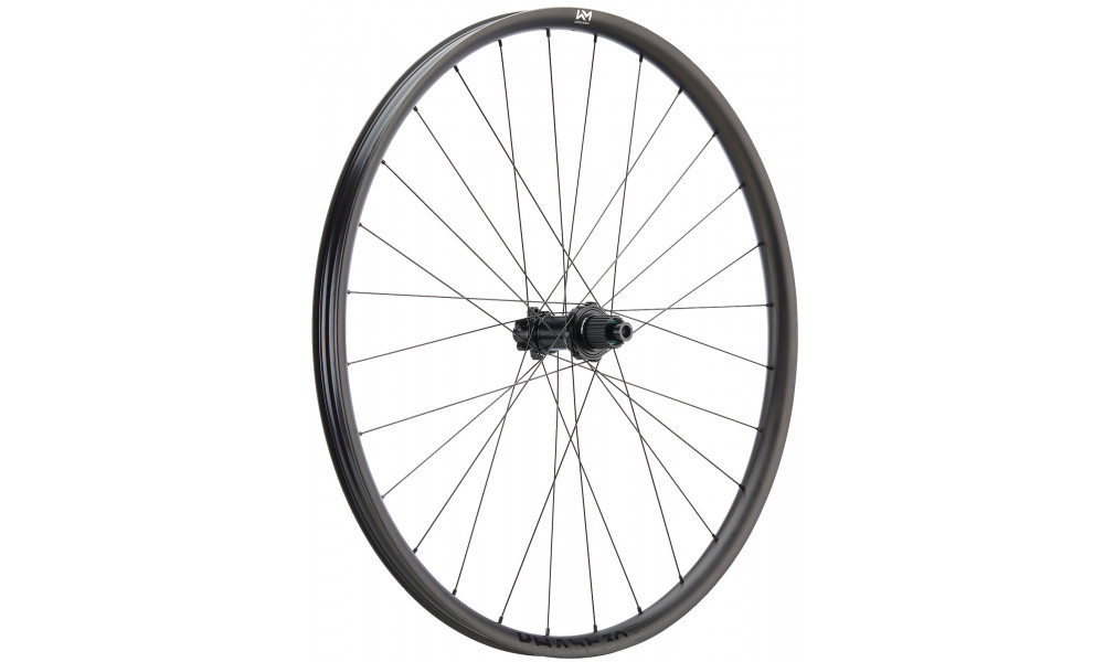 Takapyörä NEWMEN Phase Carbon 30 light 29" 28H SP 6-bolt 12x148 MicroSpline 