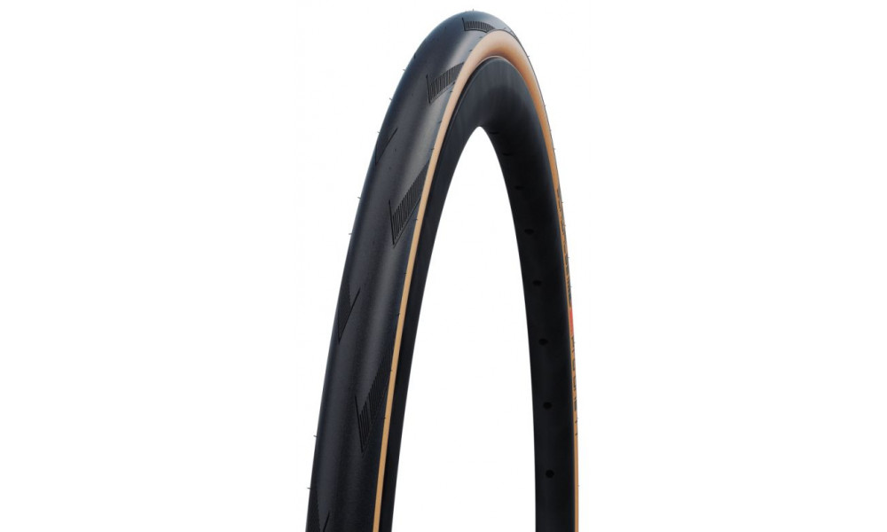 Rengas 20" Schwalbe Pro One TT Record Edition HS 462 Evo Fold TLE 28-406 / 20x1.10 Super Race Addix Race 