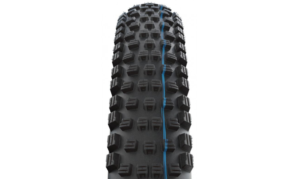 Rengas 29" Schwalbe Wicked Will HS 614 Evo Fold TLE 65-622 / 29x2.60 Super Ground Addix SpeedGrip - 3