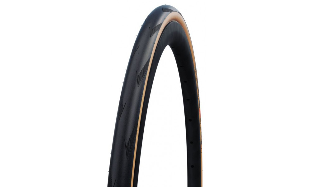 Rengas 26" Schwalbe Pro One TT Record Edition HS 462 Evo Fold TLE 28-559 / 26x1.10 Super Race Addix Race 