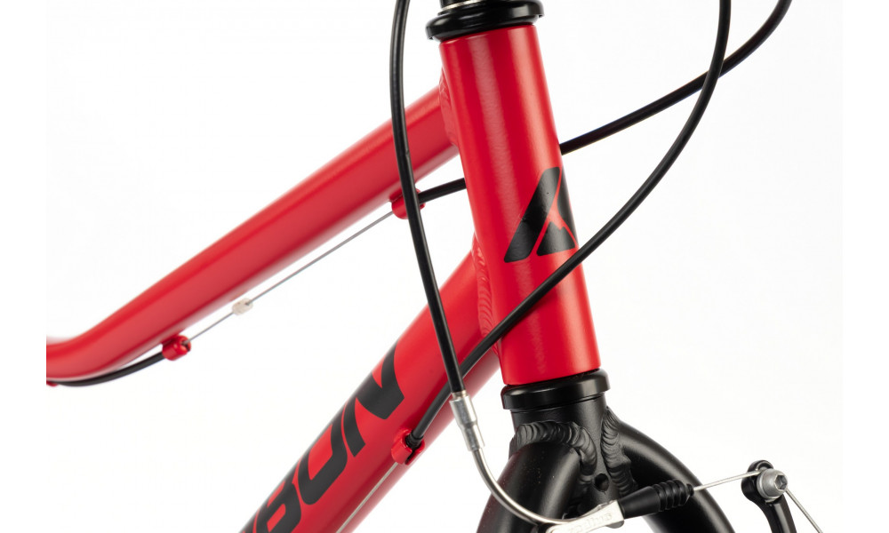 Polkupyörä Karbon Superlight 24 red - 6