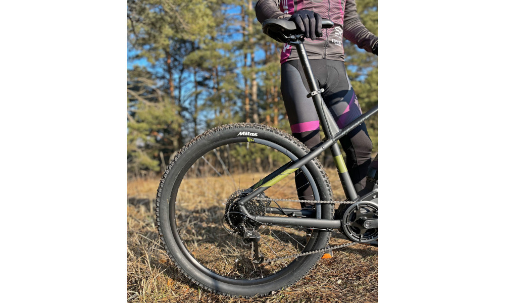 Sähköpyörä Raymon HardRay E 2.0 29" black-armor - 11