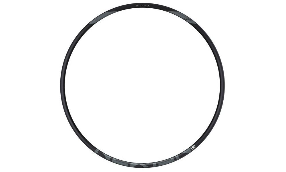 Vanne NEWMEN Evolution SL Alu X.A.25 29" 28H - 1