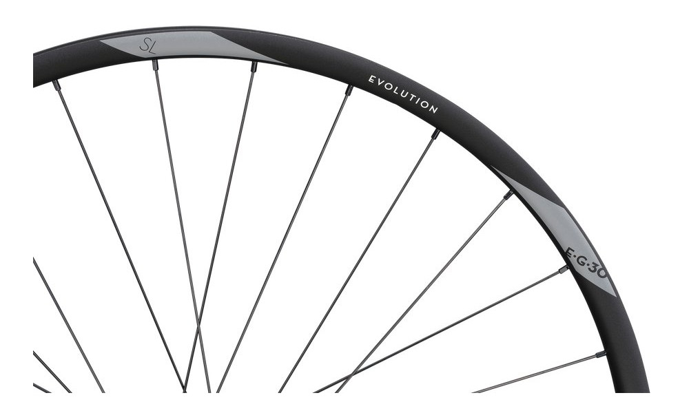 Takapyörä NEWMEN Evolution Alu SL E.G. 30 27.5" 28H SP 6-bolt 12x148 HG - 2