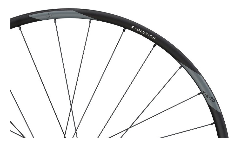 Takapyörä NEWMEN Evolution Alu SL X.A.25 27.5" 28H SP 6-bolt 12x148 HG - 2