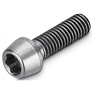 Ohjainkannattimen pultti NEWMEN Hex Titanium M5x16 TL10.5 for Evolution SL