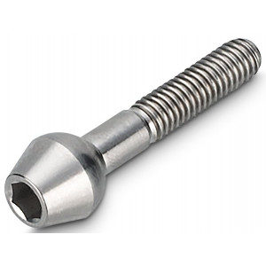 Satulatolpan pultti NEWMEN Hex Titanium M6x30 TL10.5