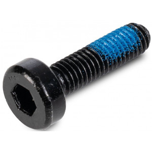 Ruuvi ACID M6x22-8.8 spherical