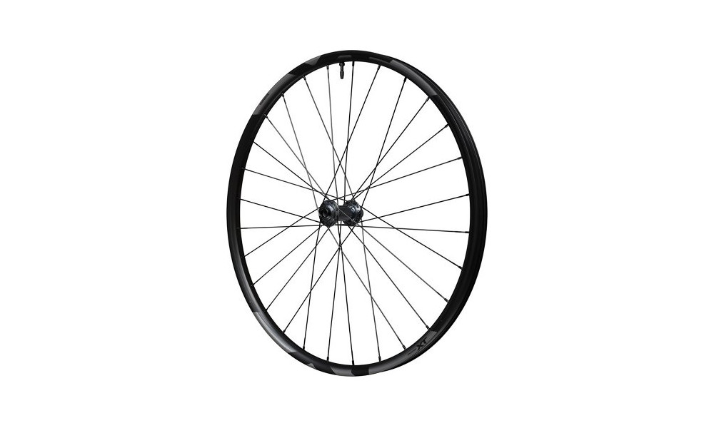 Etupyörä 29" Shimano Deore XT WH-M8200-TL Boost 15mm E-Thru Disc CL - 5