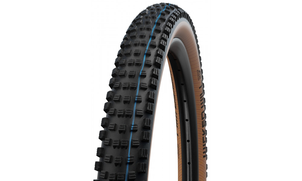 Rengas 29" Schwalbe Wicked Will HS 614 Evo Fold TLE 62-622 / 29x2.40 Super Race Addix SpeedGrip Transparent - 1
