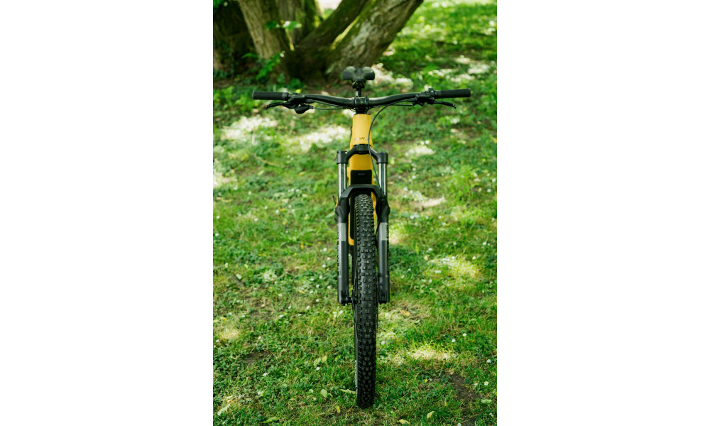 Sähköpyörä Raymon Airok Comp 29" 400 2026 kurkuma-brown - 2