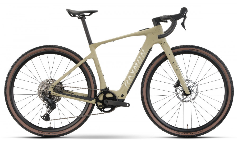 Sähköpyörä Raymon Norza Comp 400 2026 greige freckels - 1