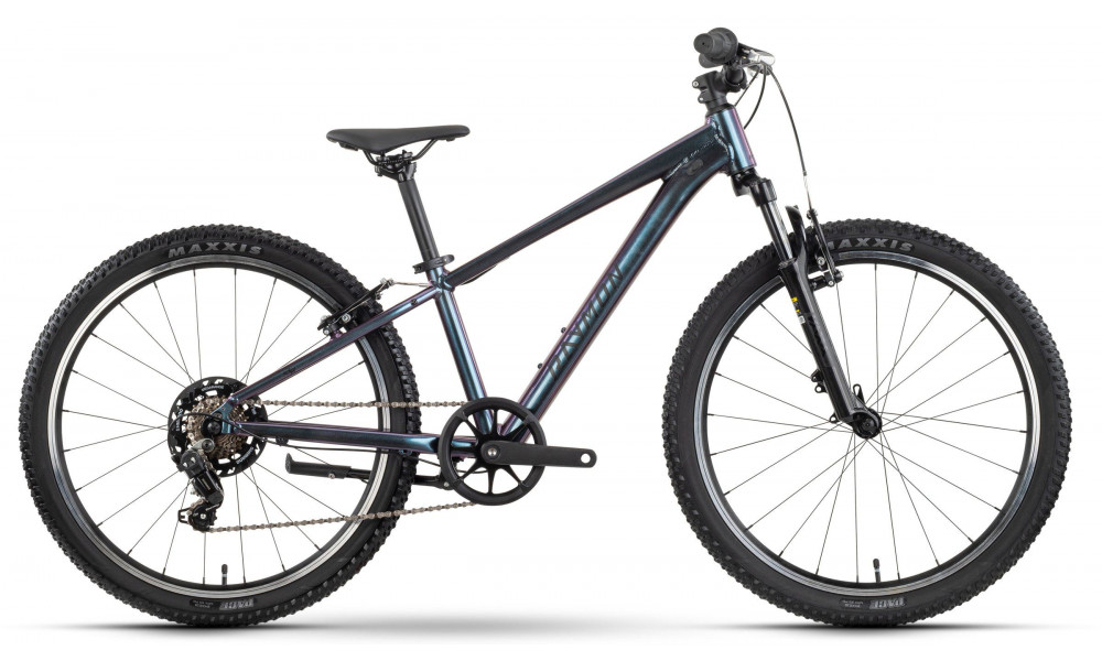 Polkupyörä Raymon Nayta 24 Comp 2026 iridiumblack - 1