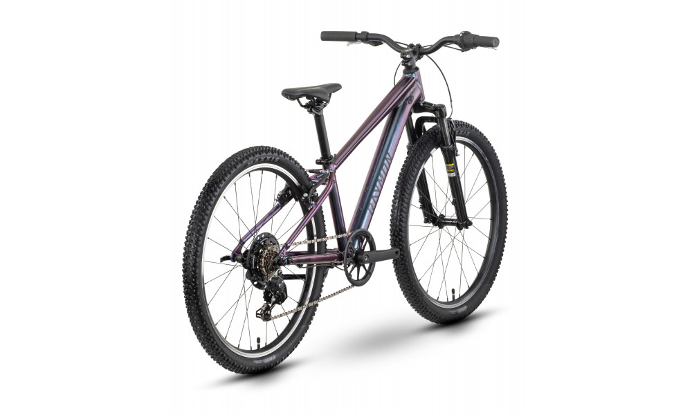 Polkupyörä Raymon Nayta 24 Comp 2026 iridiumblack - 3