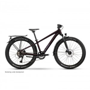 Polkupyörä Raymon Nayta 26 Pro Street 2026 floridplum