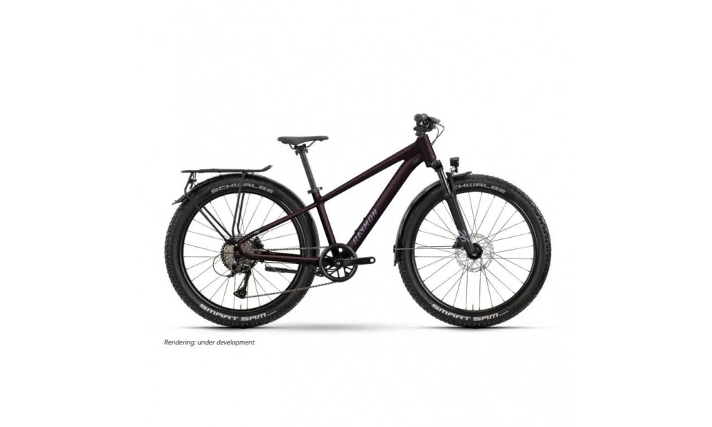 Polkupyörä Raymon Nayta 26 Pro Street 2026 floridplum 