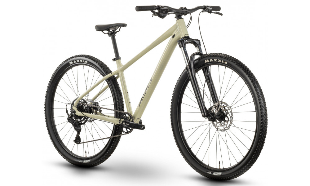 Polkupyörä Raymon Nayta Comp 29" 2026 salvia green-black - 2