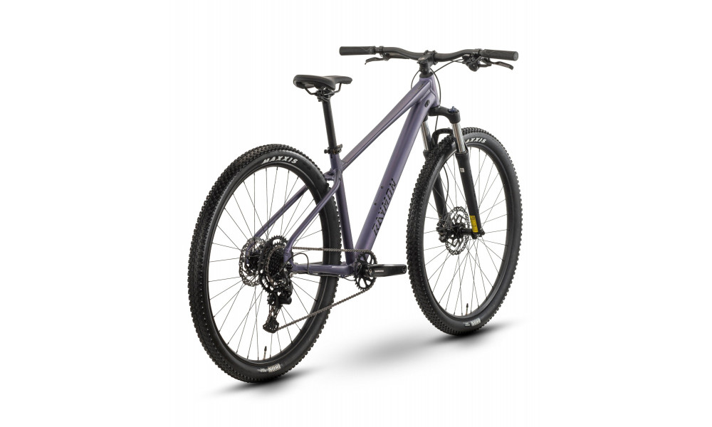 Polkupyörä Raymon Nayta Comp 29" 2026 smoke lavender-black - 3