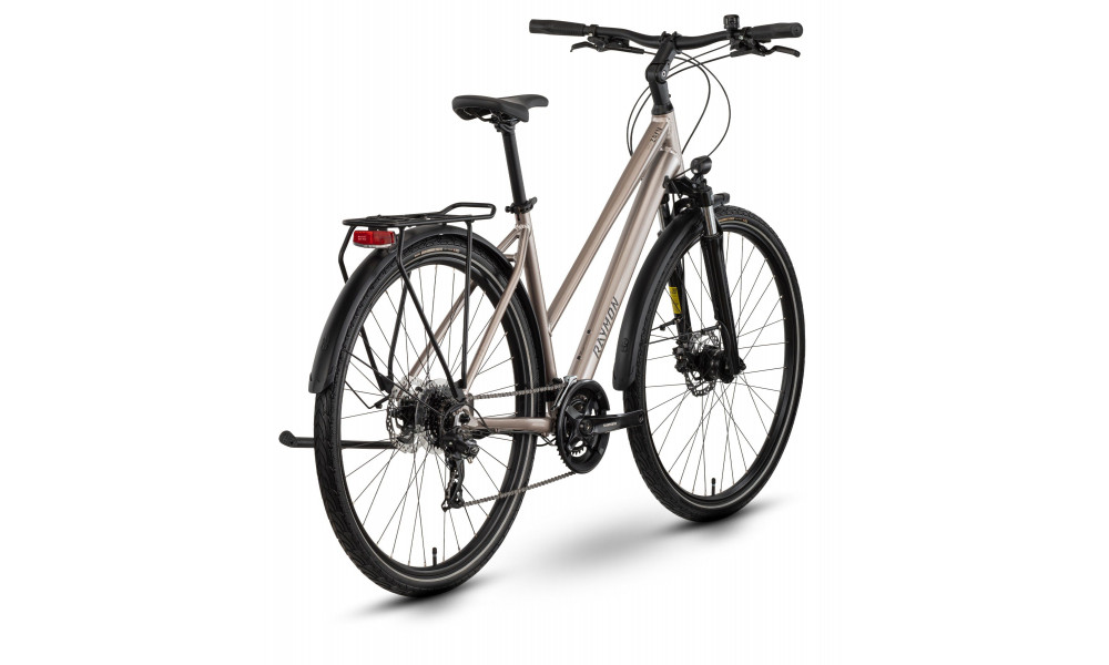 Polkupyörä Raymon Zayn Comp Trapeze 2026 taupe grey-black - 3