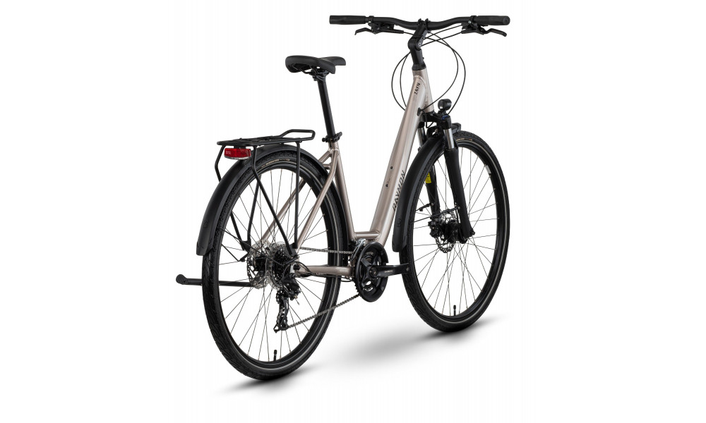 Polkupyörä Raymon Zayn Comp Easy Entry 2026 taupe grey-black - 3