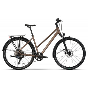 Polkupyörä Raymon Zayn Auto Trapeze 2026 mushroom