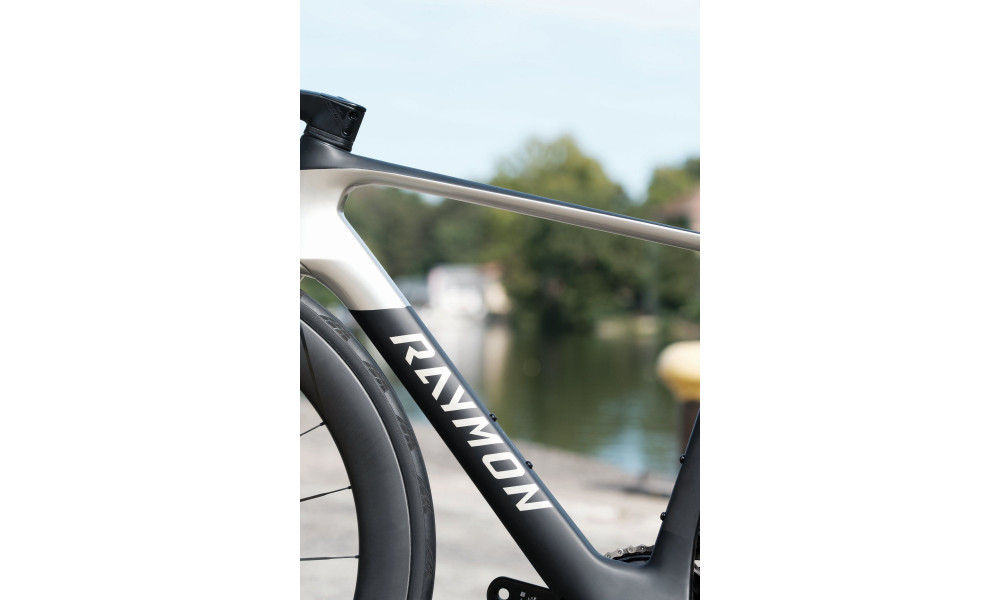 Polkupyörä Raymon Arva Ultimate 2026 carbon-champagne - 10