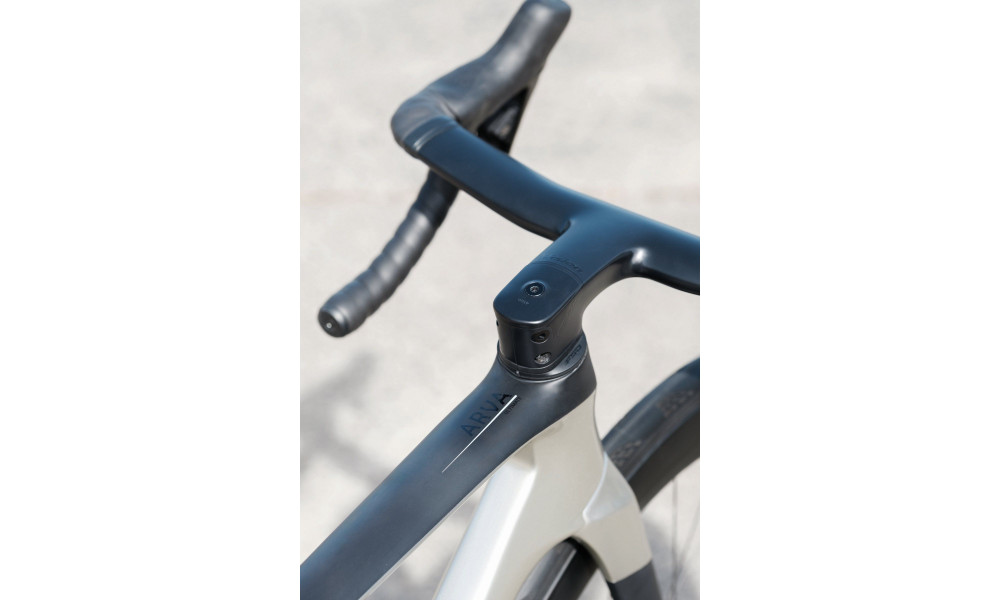 Polkupyörä Raymon Arva Ultimate 2026 carbon-champagne - 15