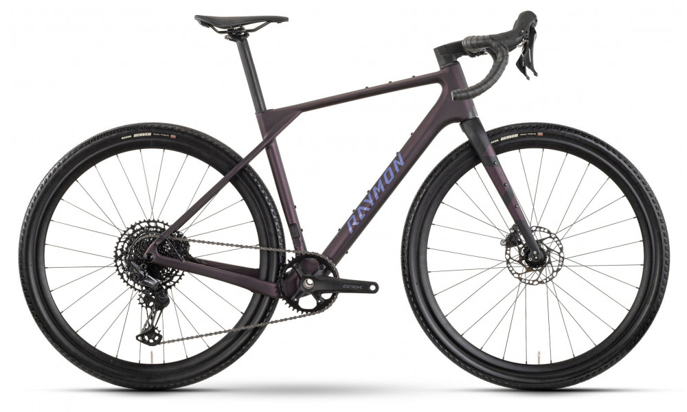 Polkupyörä Raymon Soreno Pure 2026 floridplum - 1